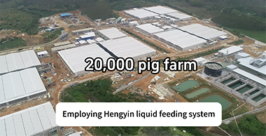 20,000-head pig farm project - liquid feeding equipment
