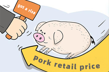pig farm equipment
