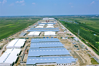 Pig product data in February 2023