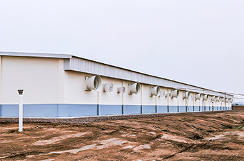 Equipment commonly used in small modern pig farms.