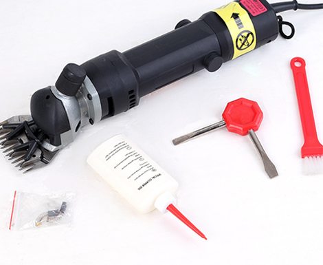 Adjustable-speed model